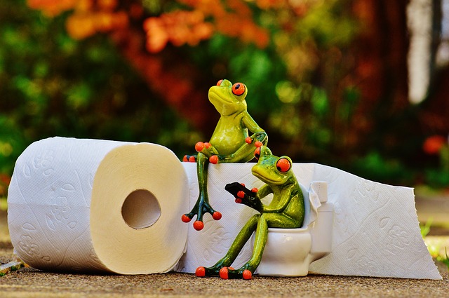 frog-1037714_640.jpg