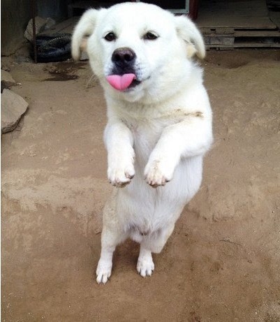 �鱸3.jpg