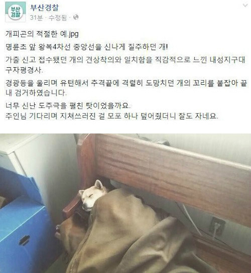 亀爽駅1.jpg
