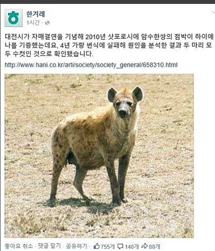 하이에나.png