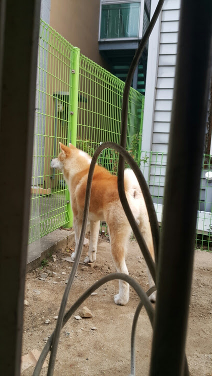 属形左澗鯵 悦伐5.jpg