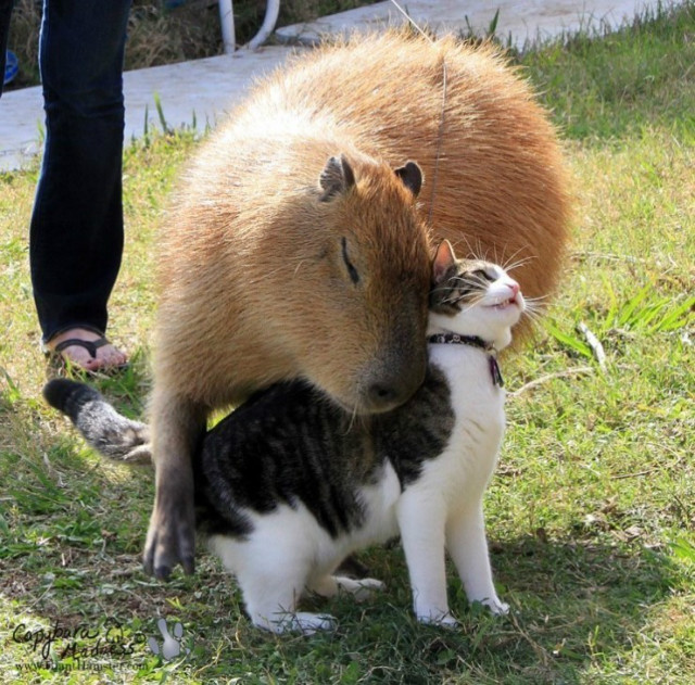 ī��16.jpg