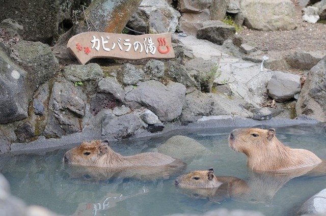 ī��18.jpg
