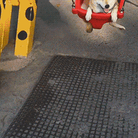 �ù�4.gif