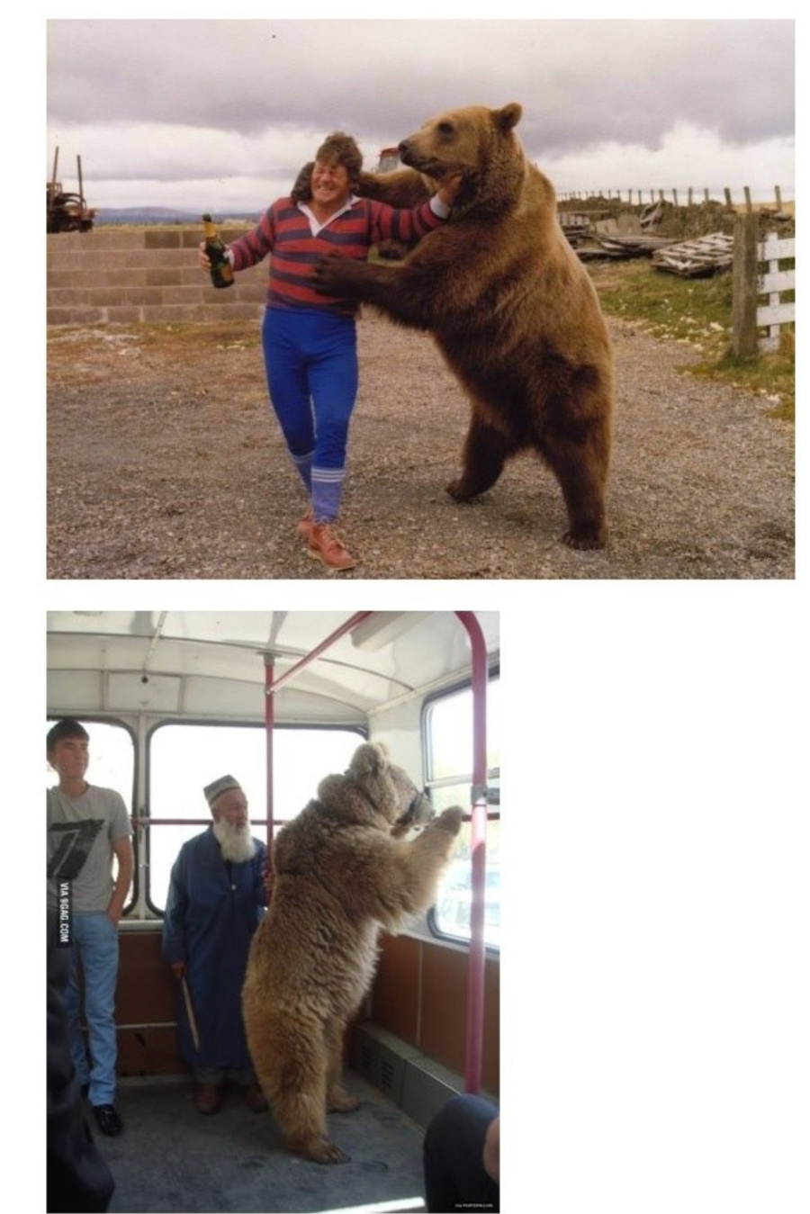 ���þư�.png