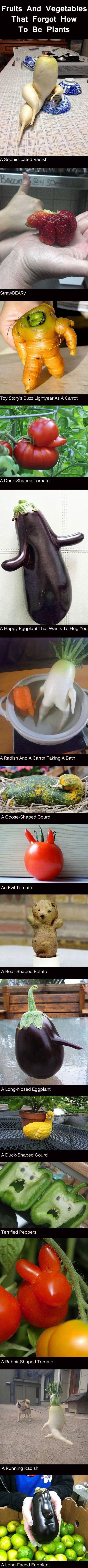 Ư���Ѱ��ϰ�ä��.jpg