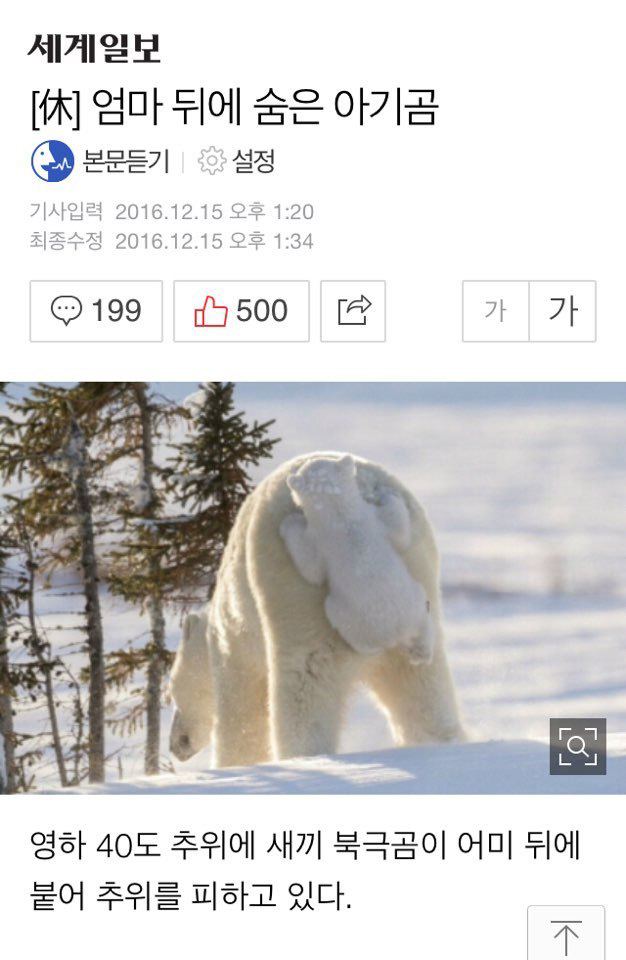 ���� �ڿ� ���� �Ʊ��1.jpg