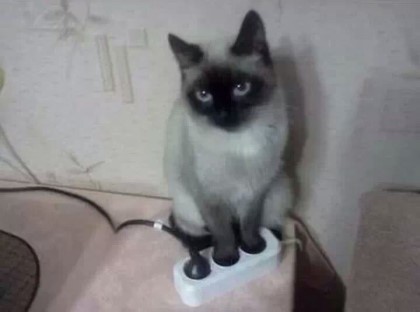 �����̹�3.jpg