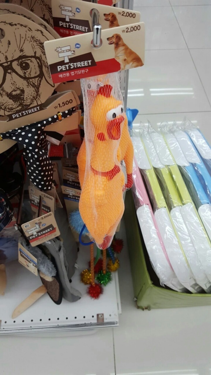 ���̼Ҿ˹�2.jpg