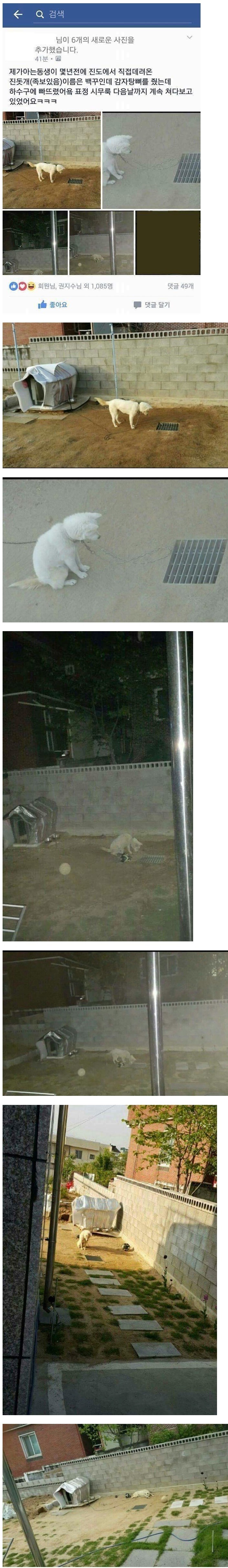 �鱸.jpg