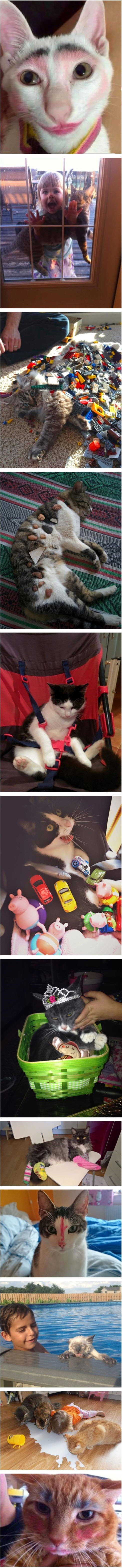 �ָ��ΰ� ����.jpg