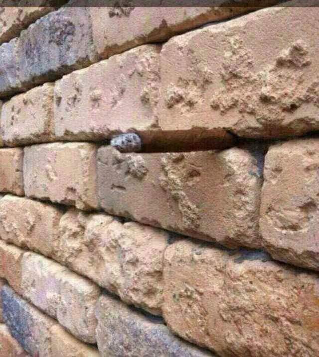 ���û���.jpg