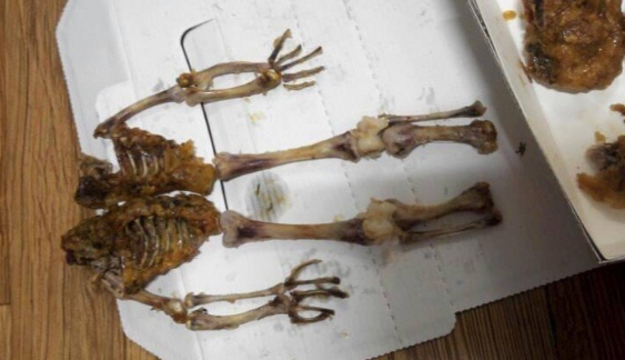 �Ǵ�� ġŲ.png