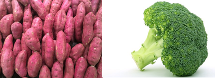 ������ ����ݸ�.png