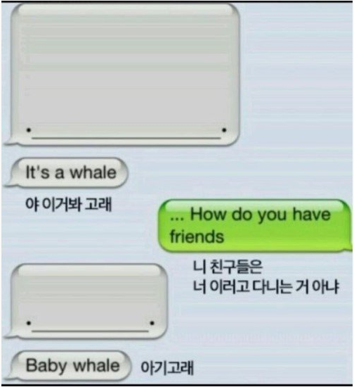 ����.png